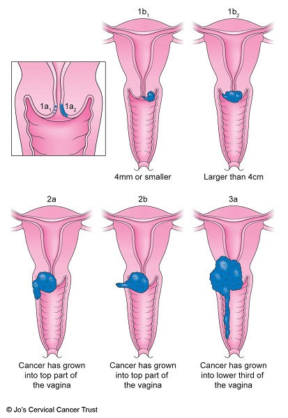 drnematolahi